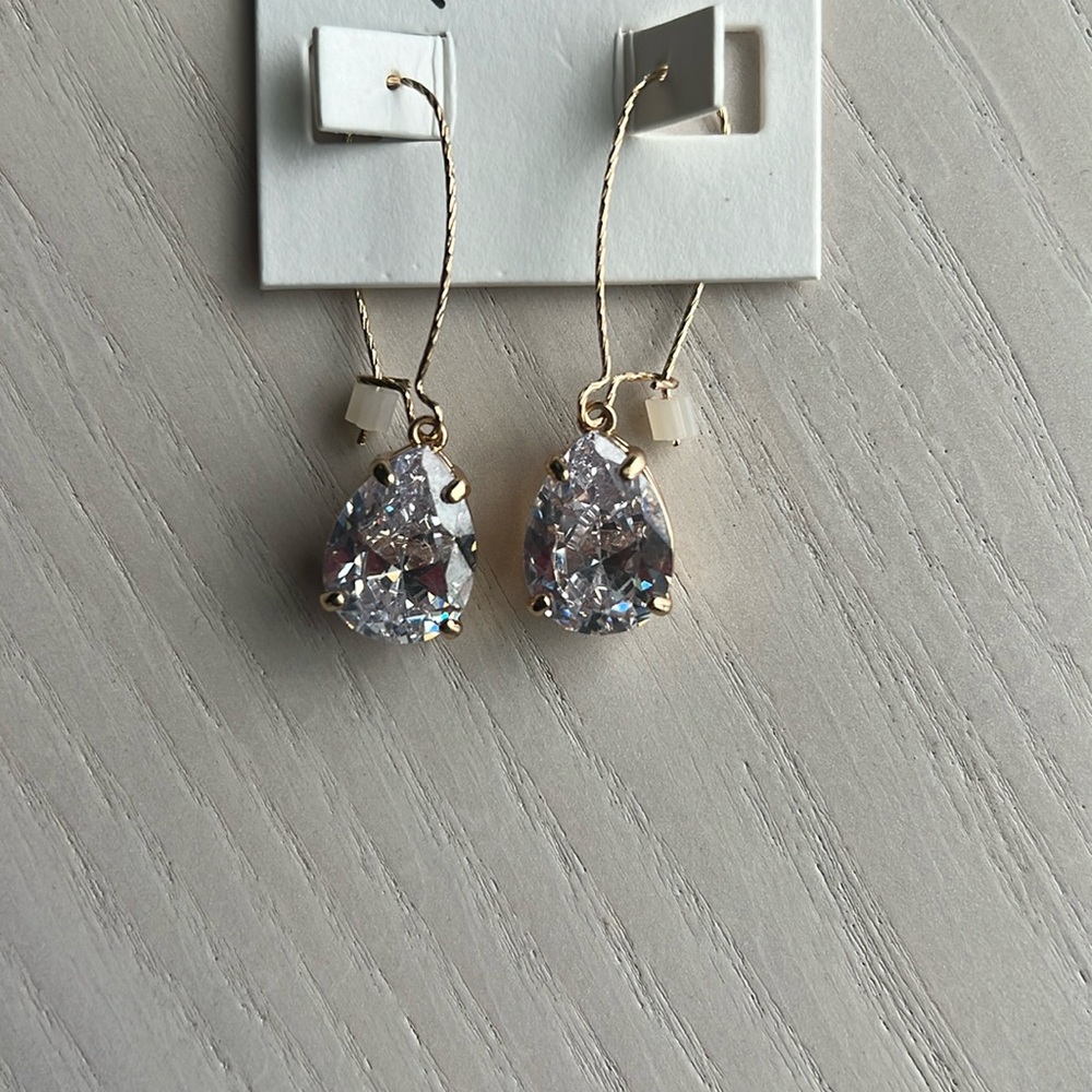 Crystal Drop Earrings - image 2